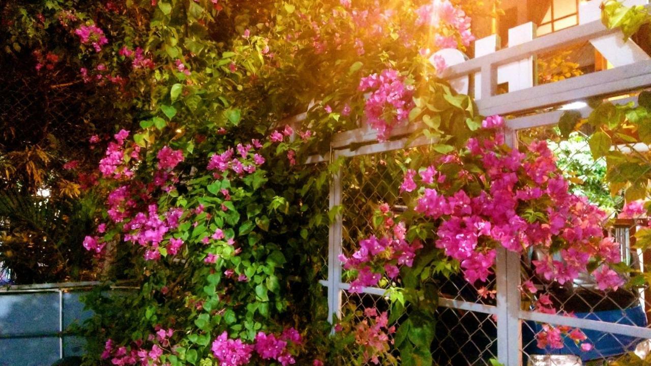 Lapaz Homestay ダナン市 エクステリア 写真
